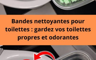 Bandes nettoyantes pour toilettes : gardez vos toilettes propres et odorantes