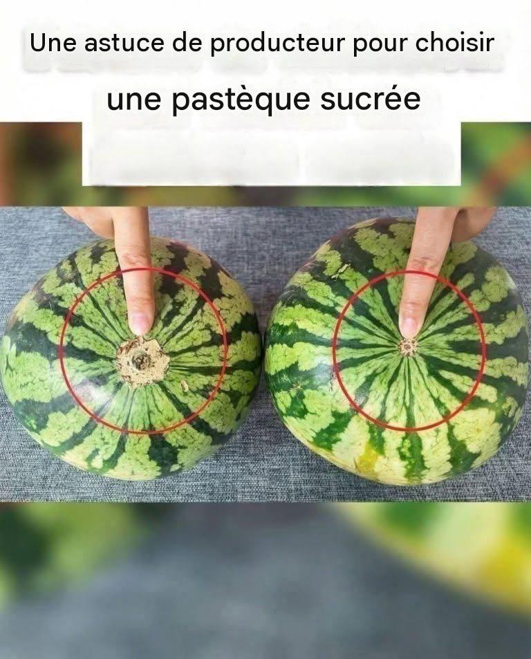 Plus de pastèques fades ! Voici un guide visuel infaillible pour trouver les fruits les plus sucrés au marché.