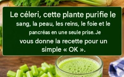 Cette plante nettoie le sang, la peau, les reins, le foie et le pancréas d’une seule fois. Mais fais-le comme ça… Pour continuer à recevoir mes recettes, il suffit de dire quelque chose… Merci…