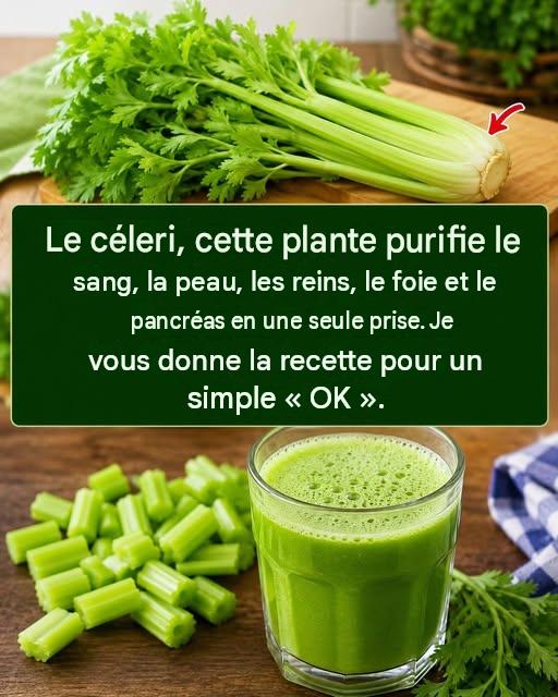 Cette plante nettoie le sang, la peau, les reins, le foie et le pancréas d’une seule fois. Mais fais-le comme ça… Pour continuer à recevoir mes recettes, il suffit de dire quelque chose… Merci…