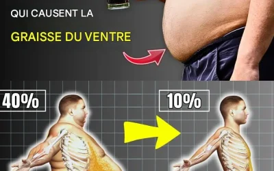 19 aliments à éviter pour perdre plus rapidement la graisse abdominale