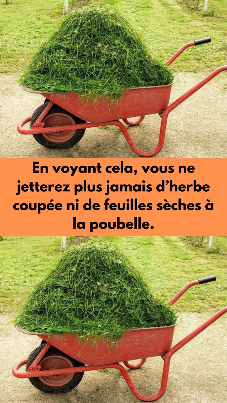 En voyant cela, vous ne jetterez plus jamais d’herbe coupée ni de feuilles sèches à la poubelle.