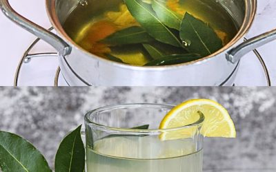 Infusion de laurier : la recette d’une boisson digestive saine