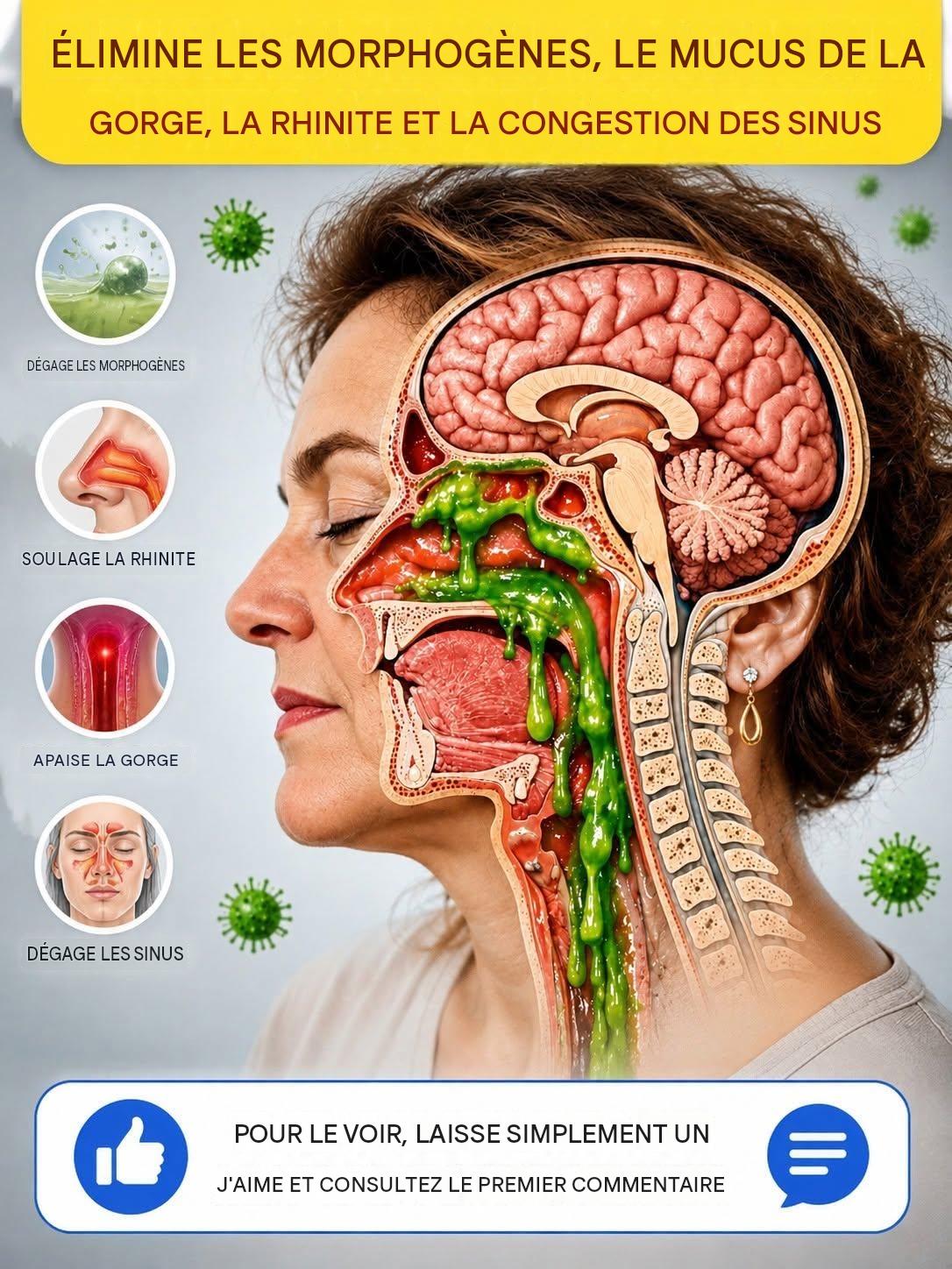 Un excès de mucus et de mucus dans la gorge et le nez, ainsi que la rhinite (inflammation des voies nasales), sont des inconforts courants qui peuvent affecter notre qualité de vie. Bien qu’elles soient souvent associées à des rhumes, des allergies ou des infections respiratoires, elles peuvent aussi être causées par la pollution, la consommation d’aliments irritants ou des variations soudaines de température. Dans cet article, vous découvrirez des remèdes maison efficaces, les bienfaits des traitements naturels et pourquoi il est si important de garder vos voies respiratoires propres et saines. 🤧 Qu’est-ce que le mucus, le mucus et la rhinite ? Le mucus et le mucus sont des sécrétions naturelles qui protègent les voies respiratoires. Le mucus, qui est plus fin, est principalement produit par le nez, tandis que le mucus, qui est plus épais, se forme dans la gorge et les poumons. Leur rôle est de piéger les bactéries, les virus et les particules nocives. Cependant, une production excessive de mucus peut entraîner une congestion nasale, des difficultés respiratoires et un inconfort persistant. La rhinite, en revanche, est une inflammation de la muqueuse nasale. Elle peut se manifester sous différentes formes : allergique (causée par les acariens, la poussière, le pollen, etc.) Non allergique (causé par des infections virales, des changements hormonaux ou certaines odeurs) Les symptômes les plus courants incluent des éternuements fréquents, une congestion nasale, un écoulement nasal, des démangeaisons nasales et des yeux larmoyants. 🌬️ L’importance d’éliminer l’excès de mucus et de mucus et de traiter la rhinite. Il est essentiel de traiter ces symptômes rapidement afin d’éviter des complications telles que les infections respiratoires, la sinusite, les otites, la bronchite, voire l’asthme. De plus, une bonne respiration améliore le sommeil, la concentration et l’humeur. Un système respiratoire sain permet une meilleure oxygénation du corps, ce qui se traduit par plus d’énergie et un système immunitaire plus efficace. Remèdes 🌿 maison pour éliminer le mucus et le mucus et soulager la rhinite