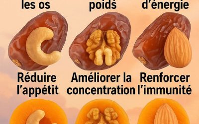 Bienfaits des fruits secs et oléagineux pour la santé