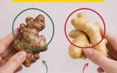 La plupart des gens choisissent le gingembre de façon incorrecte : voici comment reconnaître le bon