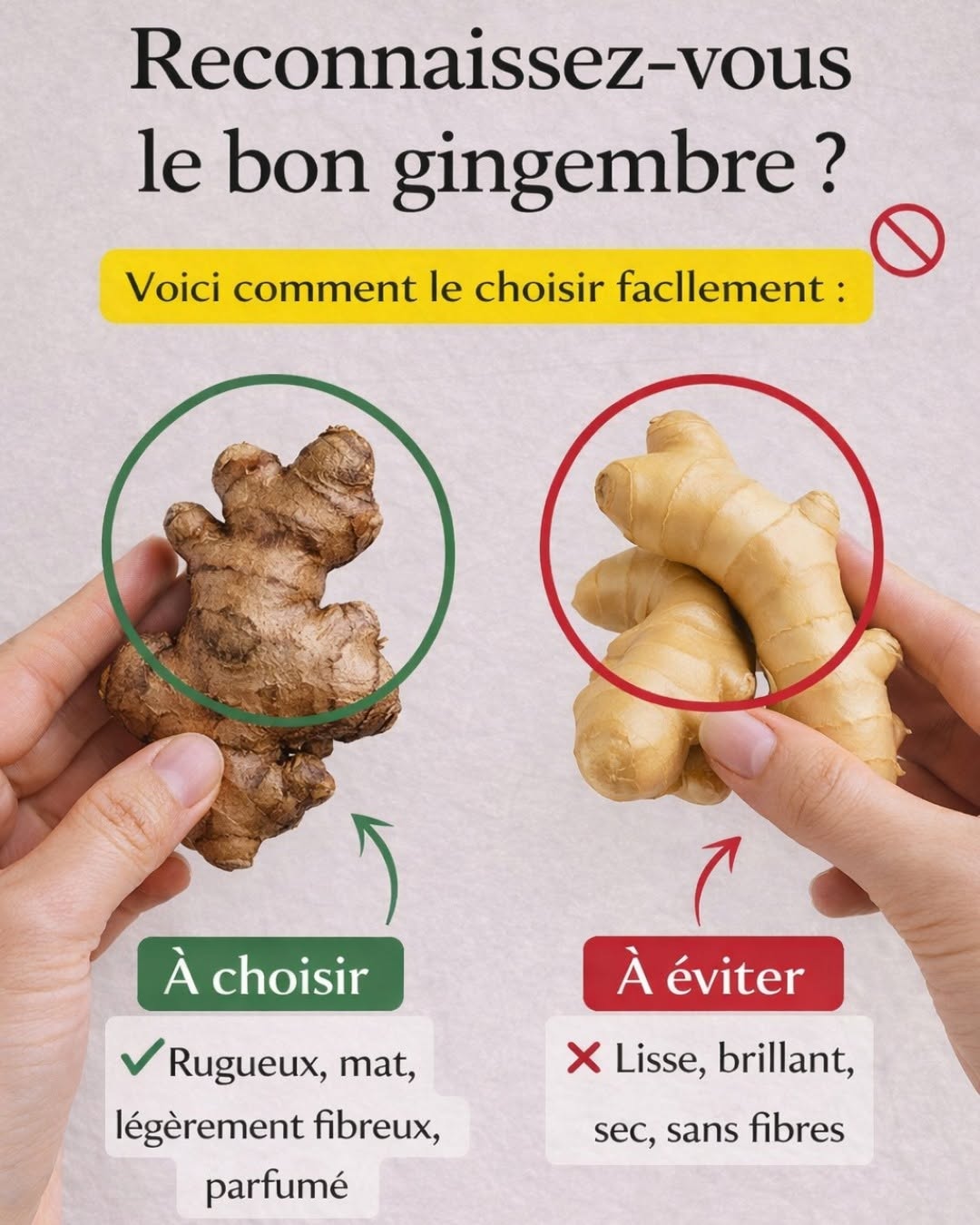 La plupart des gens choisissent le gingembre de façon incorrecte : voici comment reconnaître le bon