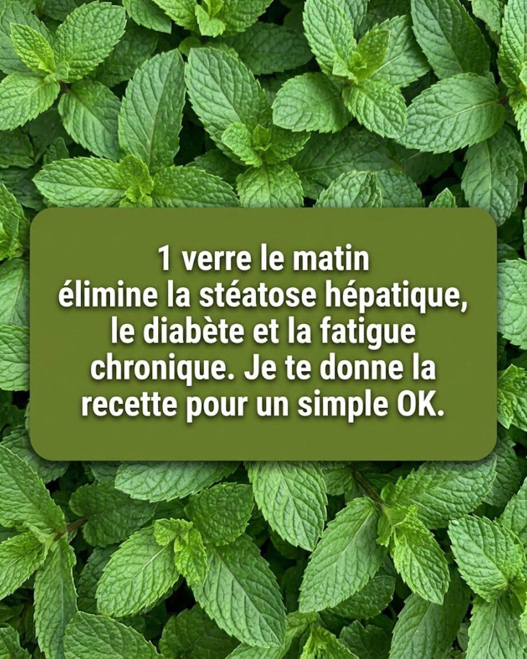 Menthe et Citron : Le Remède Maison pour Purifier, Rajeunir et Faire le Plein d’Énergie