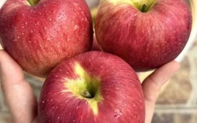Des médecins révèlent que manger une pomme tous les soirs provoque…