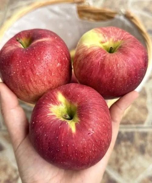 Des médecins révèlent que manger une pomme tous les soirs provoque…