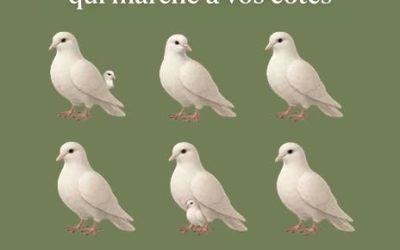 Le nombre de colombes que vous voyez révèle votre personnalité