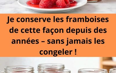 Je conserve les framboises de cette façon depuis des années – sans jamais les congeler !