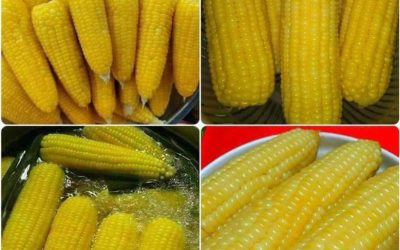 Le maïs bouilli traditionnel parfait – exactement comme l’a fait grand-mère