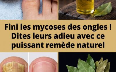 Le laurier, votre nouvel allié cuisine pour des ongles en pleine santé