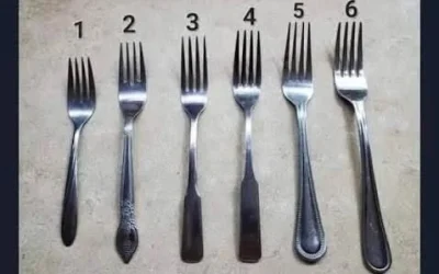 🍴Il n’y a qu’une seule bonne réponse, n’est-ce pas ? Quelle fourchette choisiriez-vous : 1, 2, 3 ou 4 ?