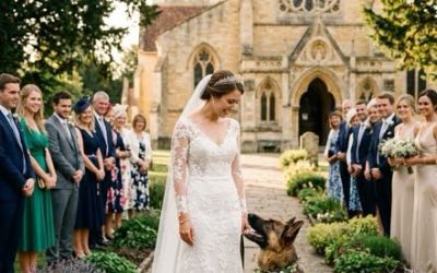 Le jour de ses noces, sa chienne bloque soudain la mariée et se met à hurler : ce qu’elle révèle bouleverse tout le monde