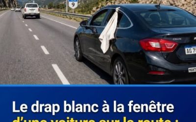Chiffon blanc à la fenêtre d’une voiture : ce signal discret que tout conducteur devrait connaître