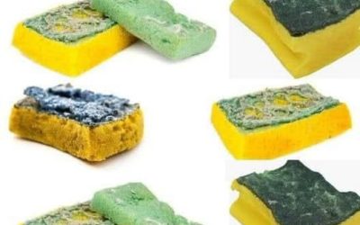 Pourquoi vous ne devriez plus jamais jeter vos vieilles éponges (elles valent de l’or pour votre jardin !)