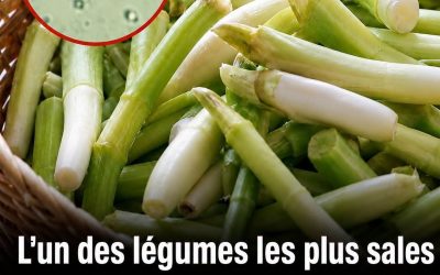 Ciboule et oignon nouveau : ce légume adoré que vous mangez peut-être sans le laver correctement