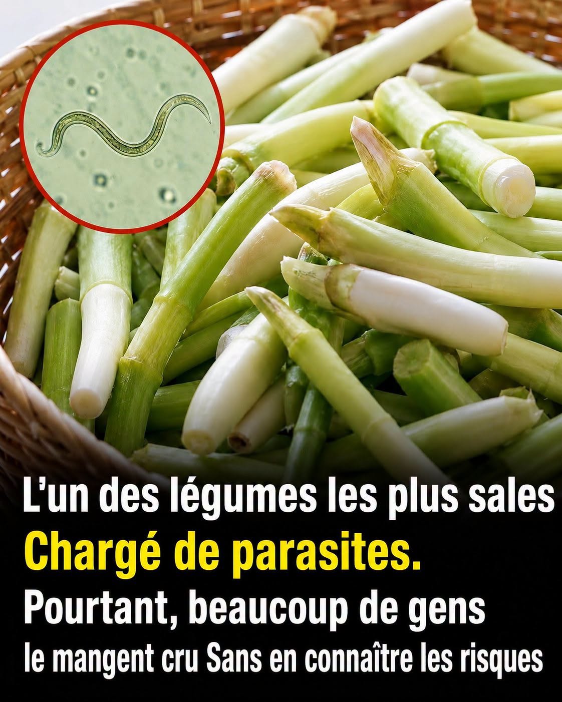 Ciboule et oignon nouveau : ce légume adoré que vous mangez peut-être sans le laver correctement