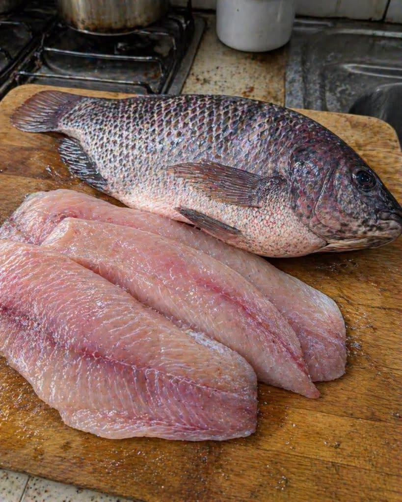 Tilapia : ce qu’il faut vraiment savoir avant d’en mettre dans son assiette