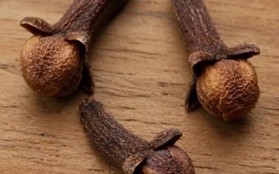 Clou de girofle : les bienfaits surprenants de cette épice que vous avez sûrement dans votre cuisine