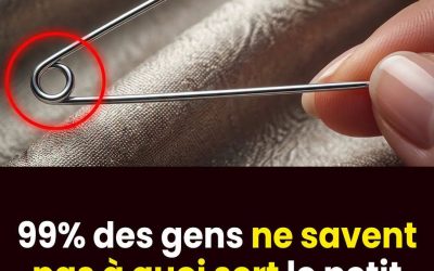 99% des Gens Ne Savent Pas à Quoi Sert le Trou de l’Épingle à Nourrice.