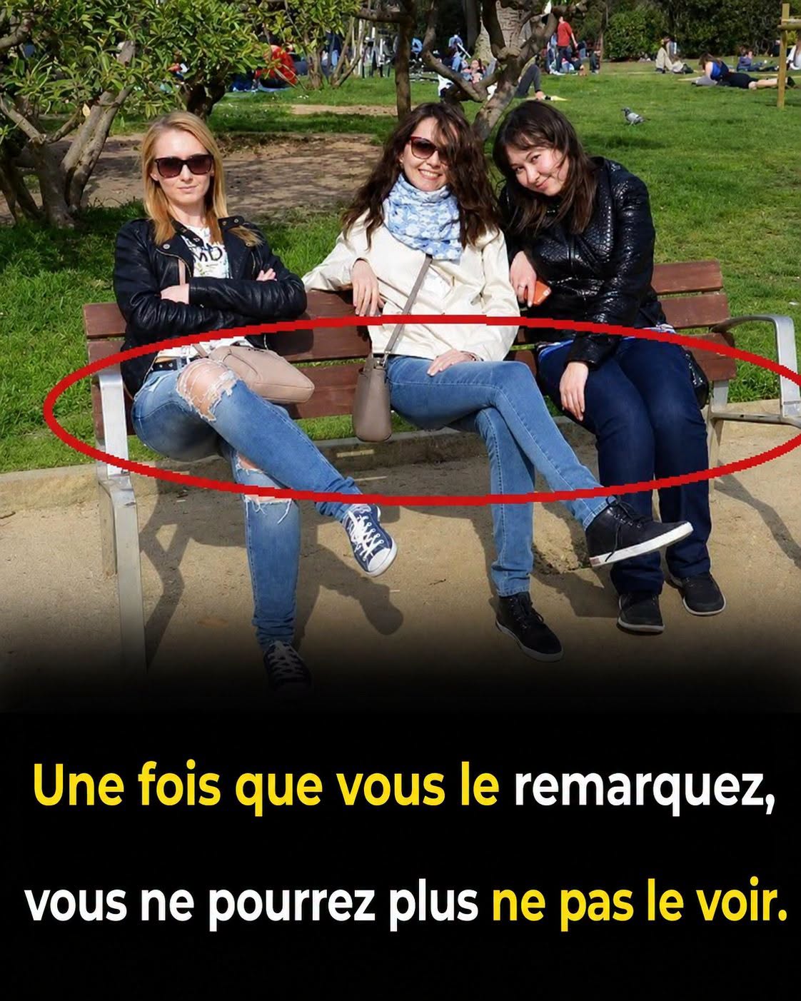 Cette photo semble tout à fait normale… mais regardez bien, quelque chose cloche !