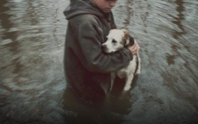 Un adolescent a sauté dans une rivière pour sauver un chien – Le lendemain matin, un SUV noir s’est arrêté devant chez lui