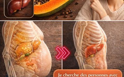 Le pouvoir caché des graines de papaye : un secret naturel pour favoriser la santé hépatique et réduire la graisse abdominale.