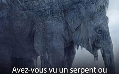 Test visuel : serpent ou éléphant — ce que votre premier regard dit de vous