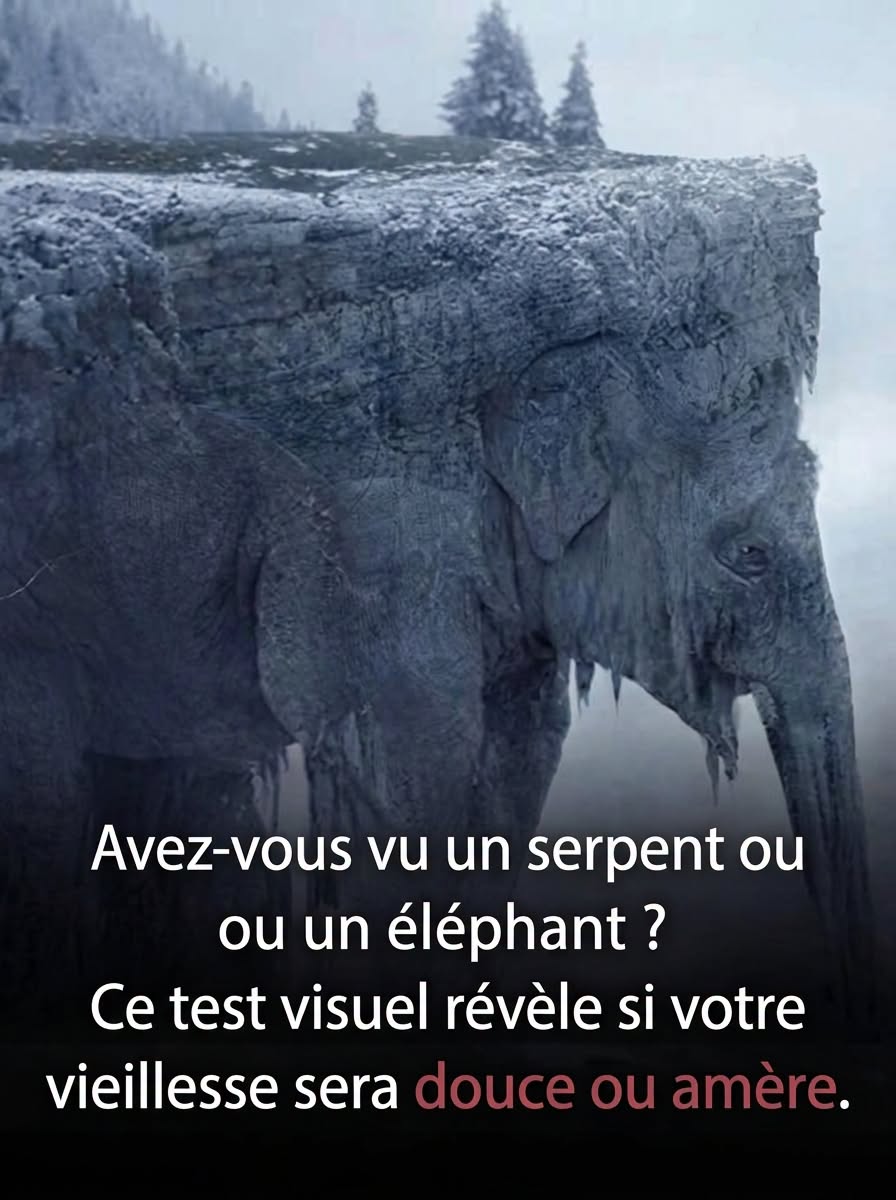 Test visuel : serpent ou éléphant — ce que votre premier regard dit de vous