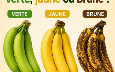 Banane verte, jaune ou brune : laquelle est vraiment la plus saine pour vous ?