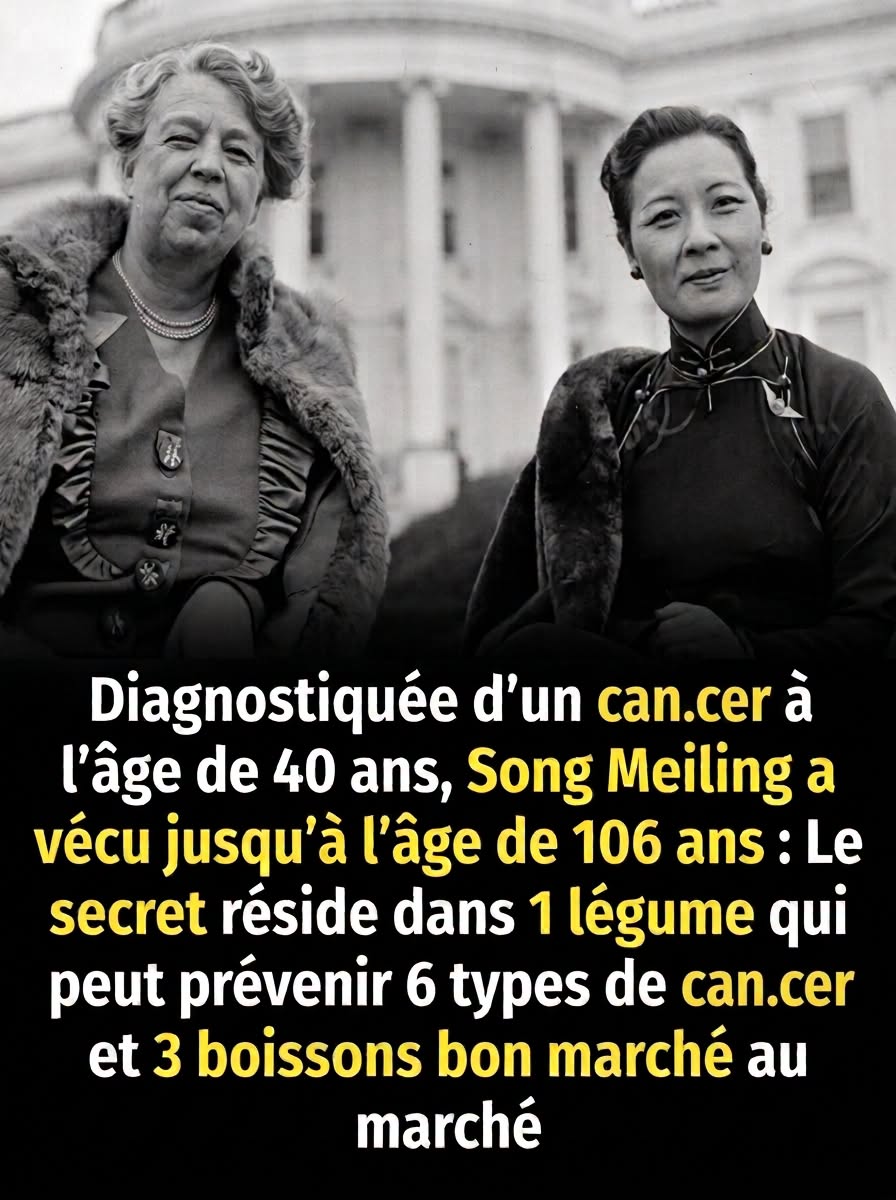 Le légume miracle qui aurait aidé Soong Mei-ling à vivre jusqu’à 106 ans