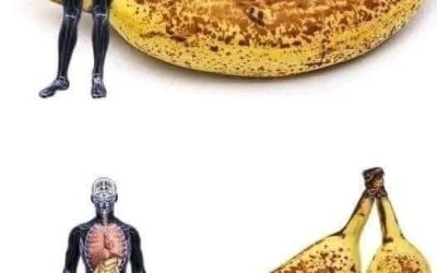 Mangez 2 bananes par jour pendant le mois à venir et voici ce qui passera dans votre corps