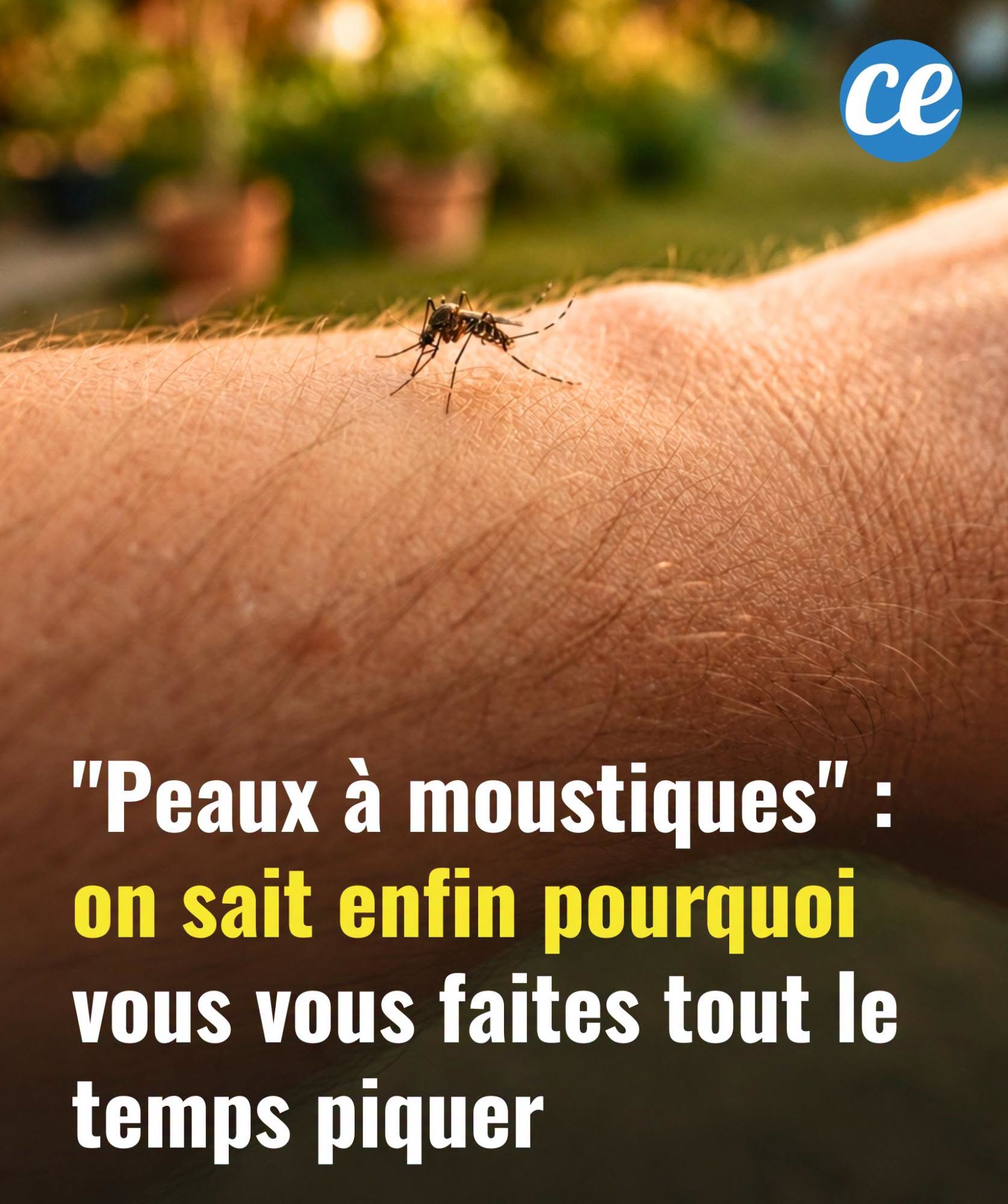 “Peaux à moustiques” : on sait enfin pourquoi vous vous faites tout le temps piquer