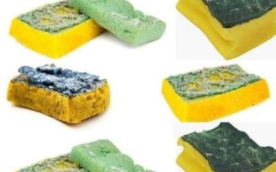 Vieilles éponges : l’astuce jardin écologique qui va révolutionner votre arrosage