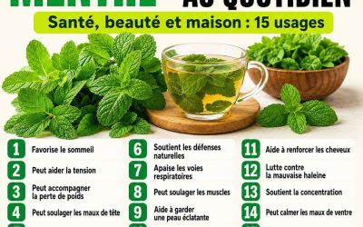 15 Bienfaits Santé de la Menthe et Comment Bien la Consommer.