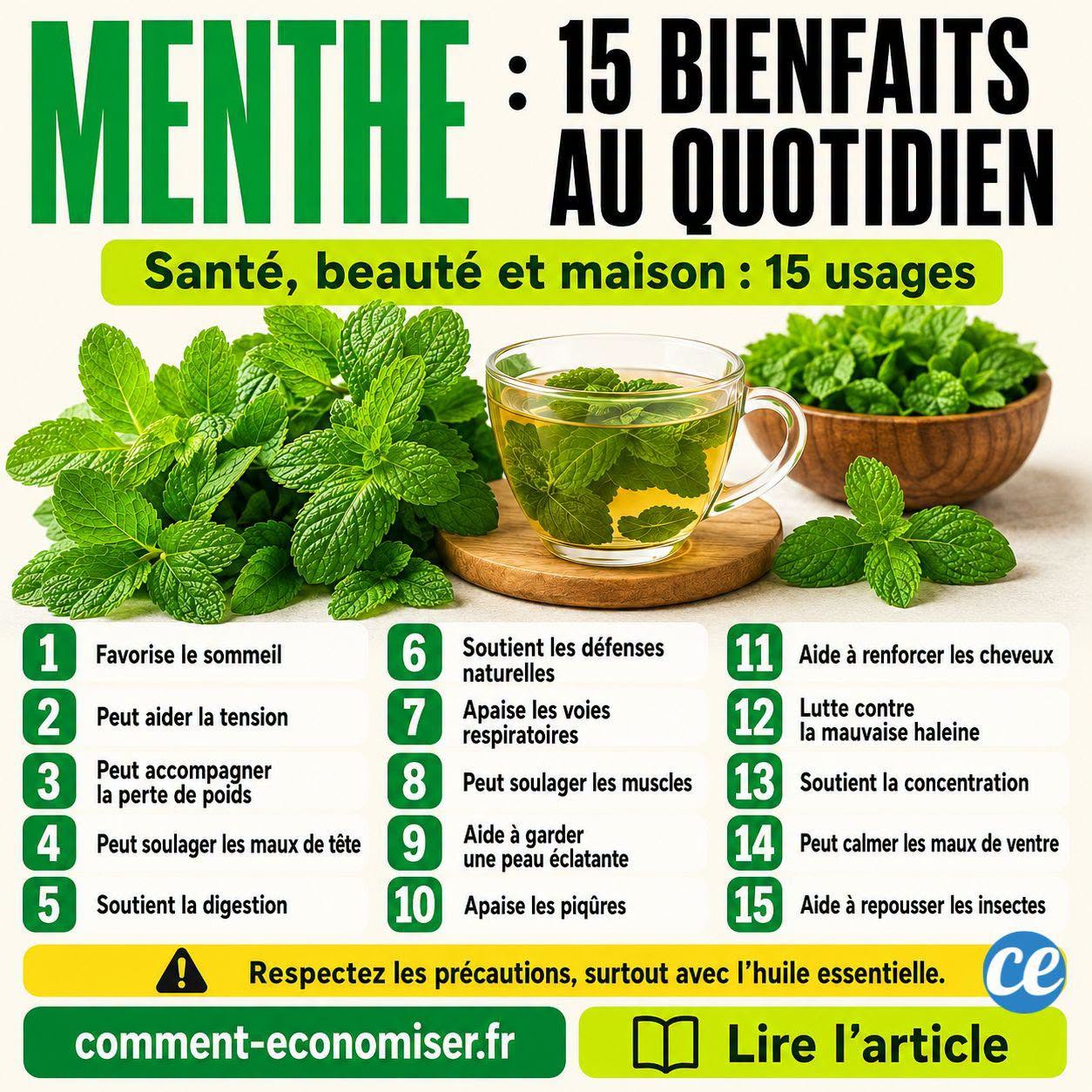 15 Bienfaits Santé de la Menthe et Comment Bien la Consommer.