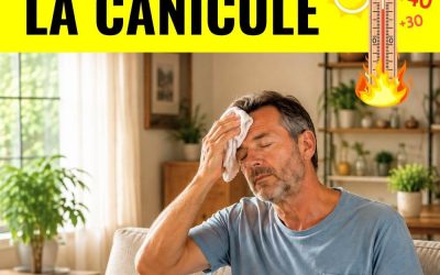 Dans les pays chauds, personne n’a la clim : leurs 5 astuces qui rafraîchissent vraiment votre intérieur en pleine canicule