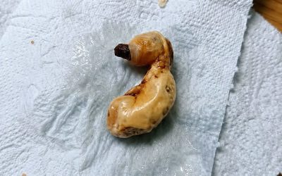 Elle découvre un objet mystérieux sous le lit de son fils : ce que notre cerveau fait de la peur