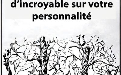 Test de personnalité : le premier animal que vous voyez révèle qui vous êtes vraiment