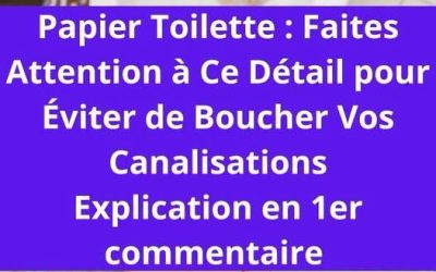 Cet objet de toilettes peut boucher facilement votre canalisation
