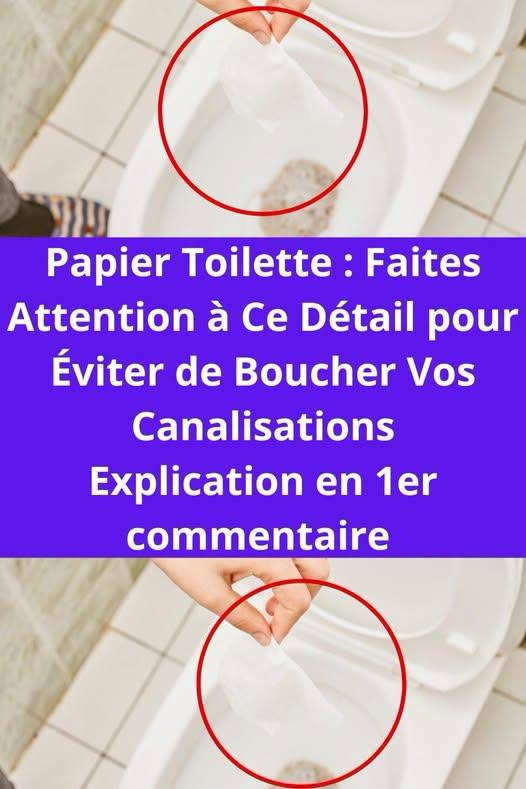 Cet objet de toilettes peut boucher facilement votre canalisation