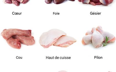 🤔🍗 Quel morceau de poulet manque sur cette image ?