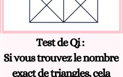 Test de Qi : Si vous trouvez le nombre exact de triangles, cela indique clairement que vous êtes très intelligent