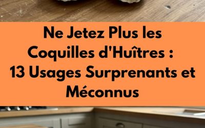 Ne jetez plus vos coquilles d’huîtres ! 14 astuces étonnantes pour leur donner une seconde vie