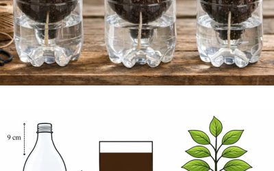 Easy Gardening with Recycled Plastic Bottles