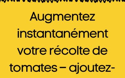 Augmentez votre récolte de tomates grâce à cette astuce simple