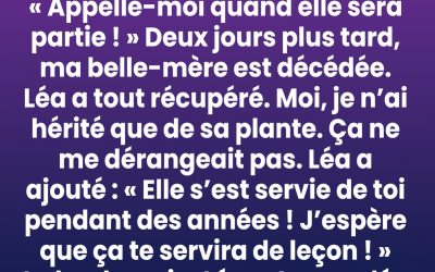 Je n’ai hérité que d’une vieille plante — la vérité qu’elle recelait a tout changé.
